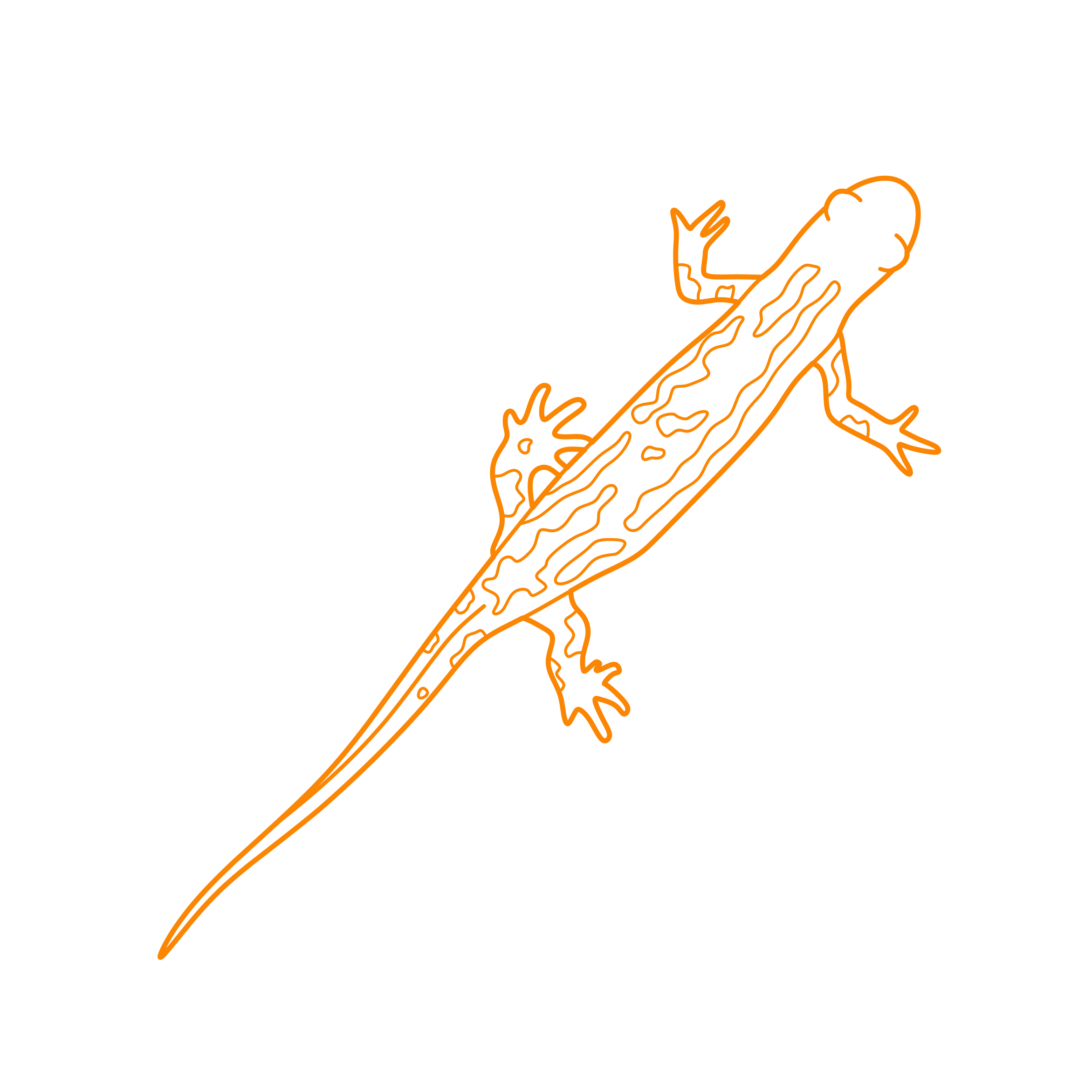 Animals Salamanders Alpine Newt Stencil Svg Design File Free Vectors